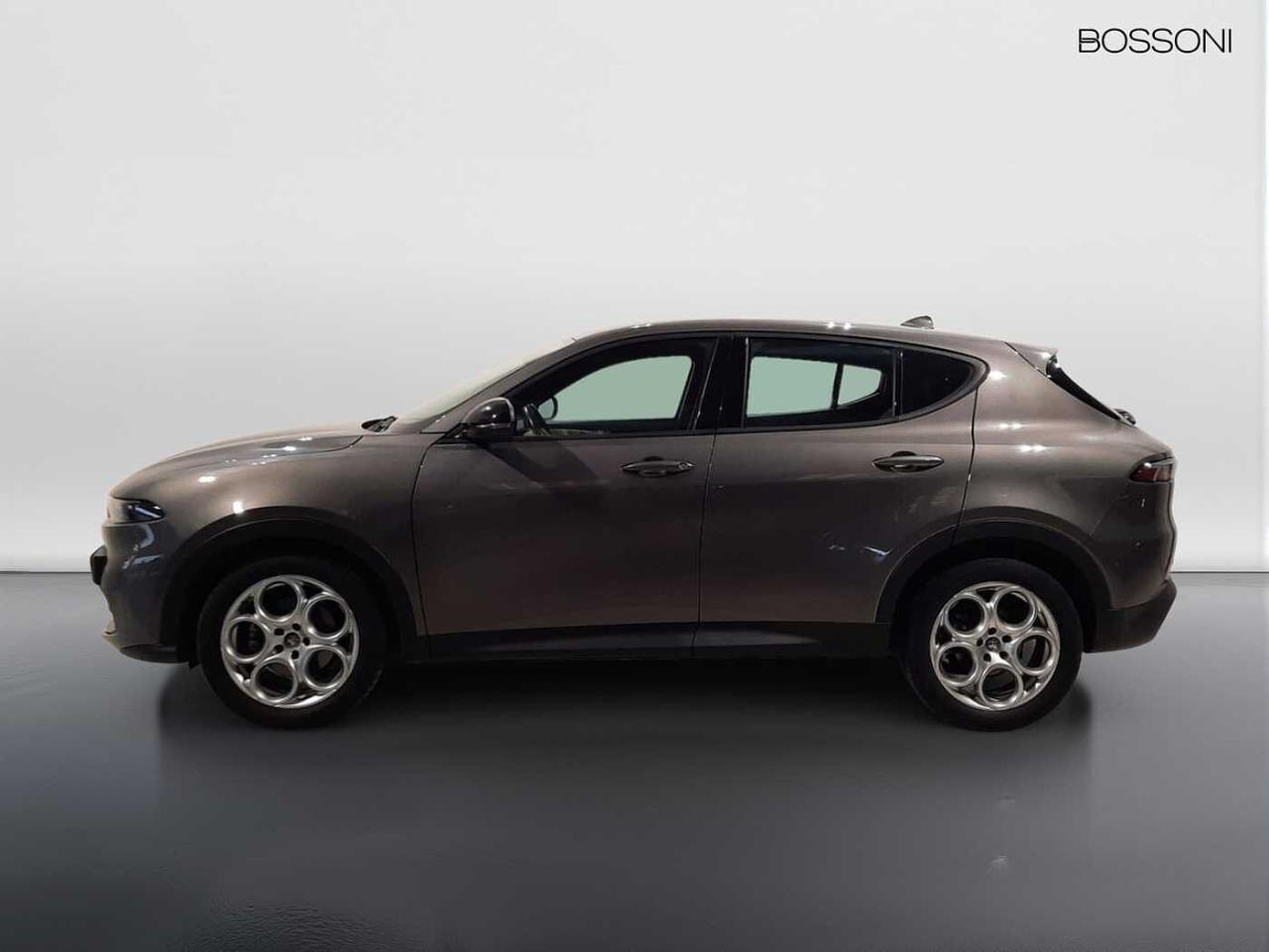 Alfa Romeo Alfa Romeo Tonale usata 12