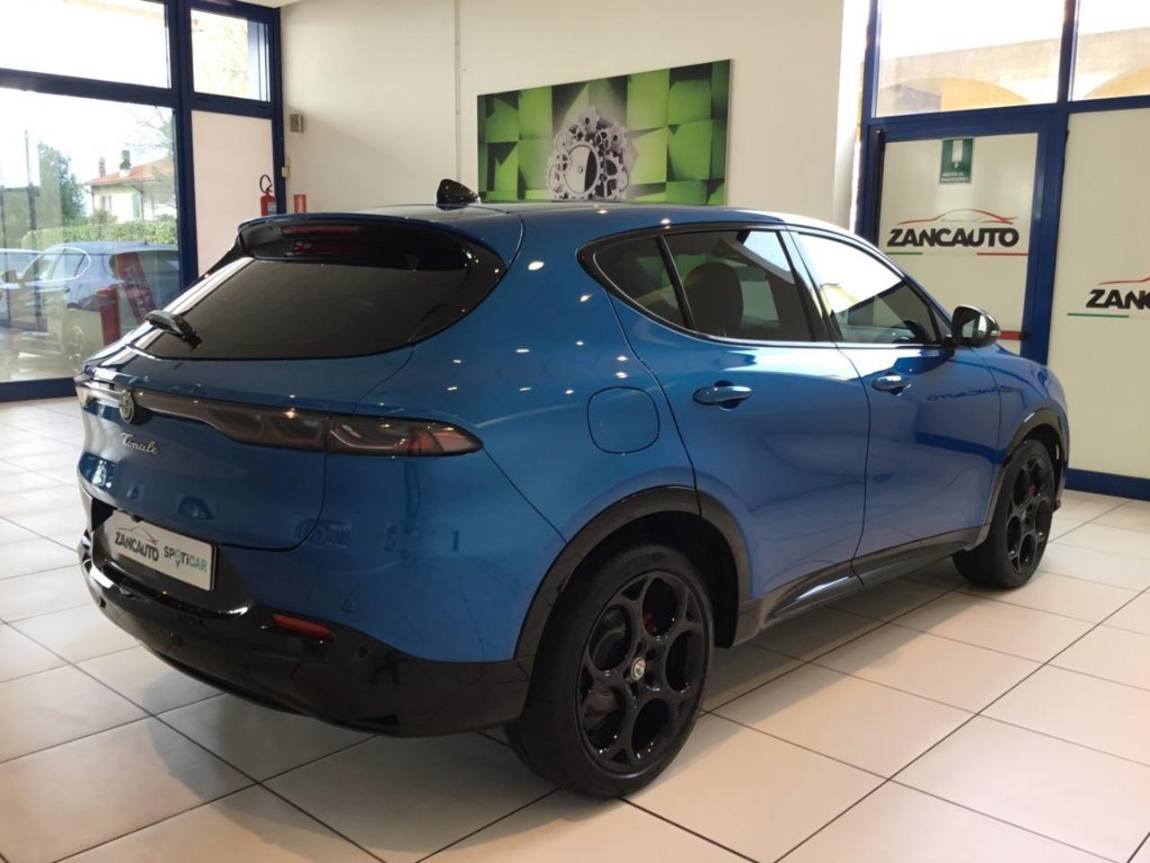 Alfa Romeo Alfa Romeo Tonale usata 15