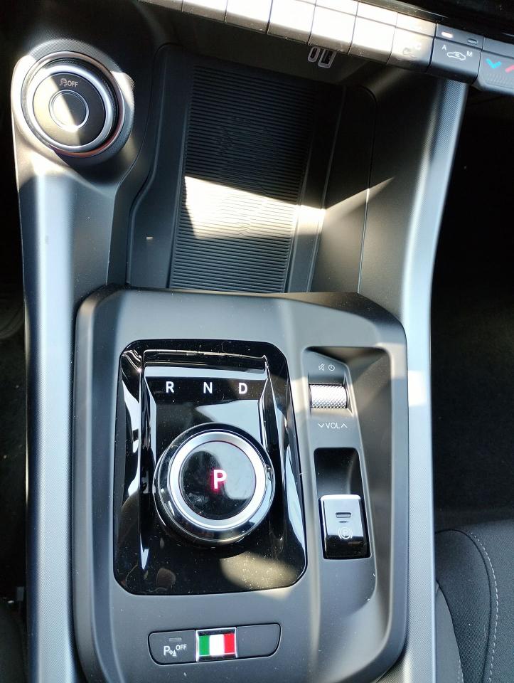 Alfa Romeo Alfa Romeo Tonale usata 13