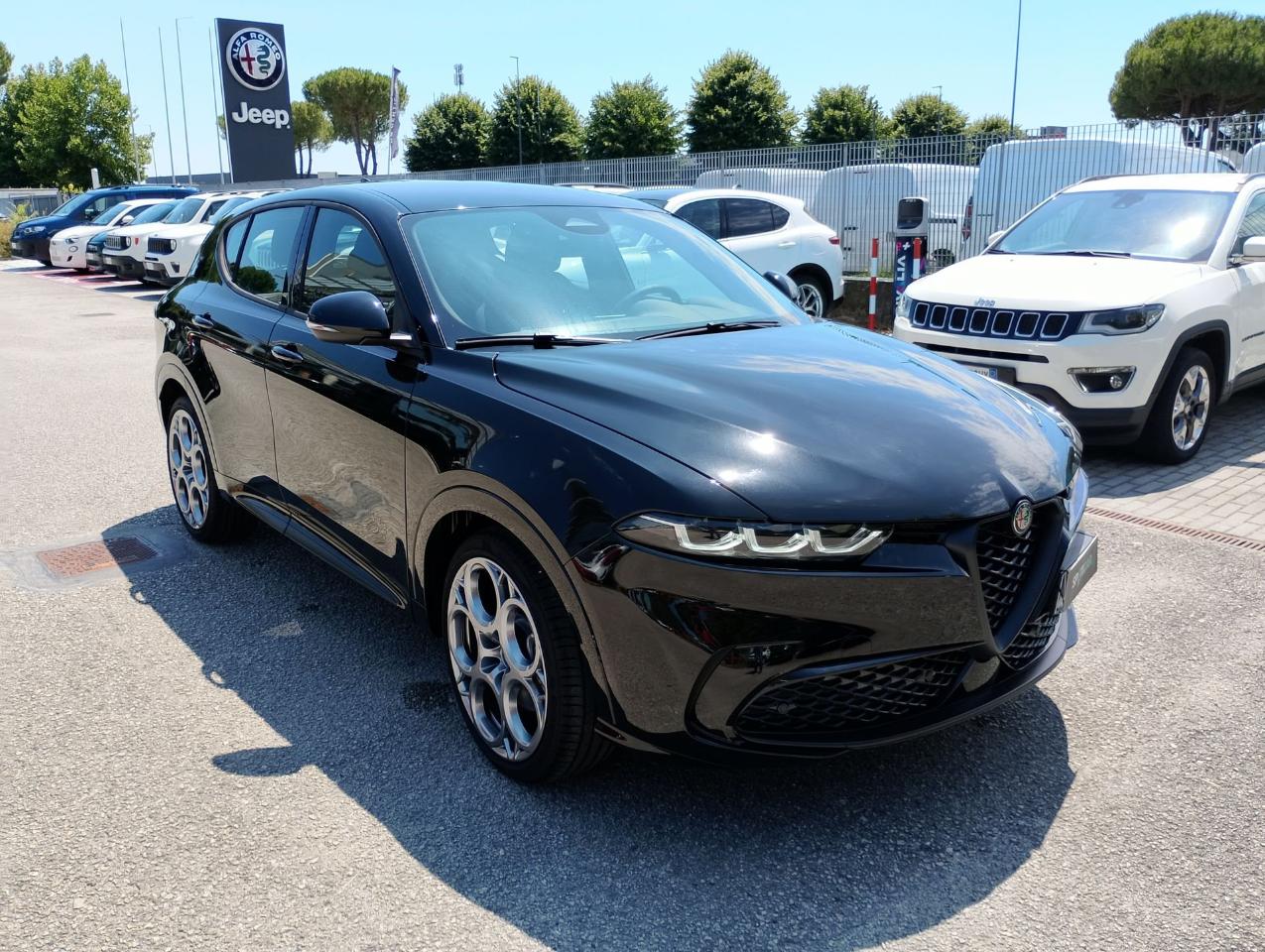 Alfa Romeo Alfa Romeo Tonale usata 20