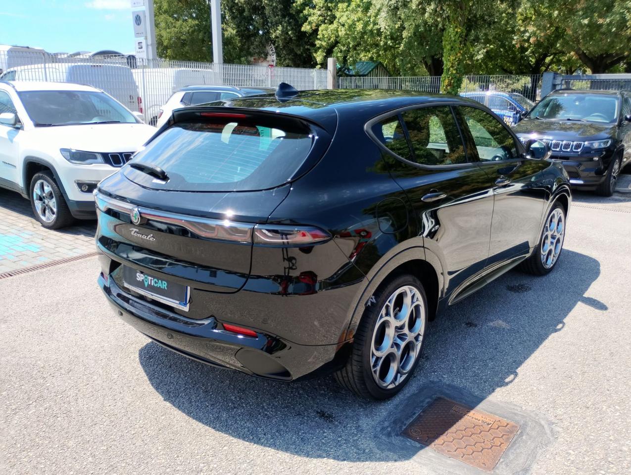 Alfa Romeo Alfa Romeo Tonale usata 21