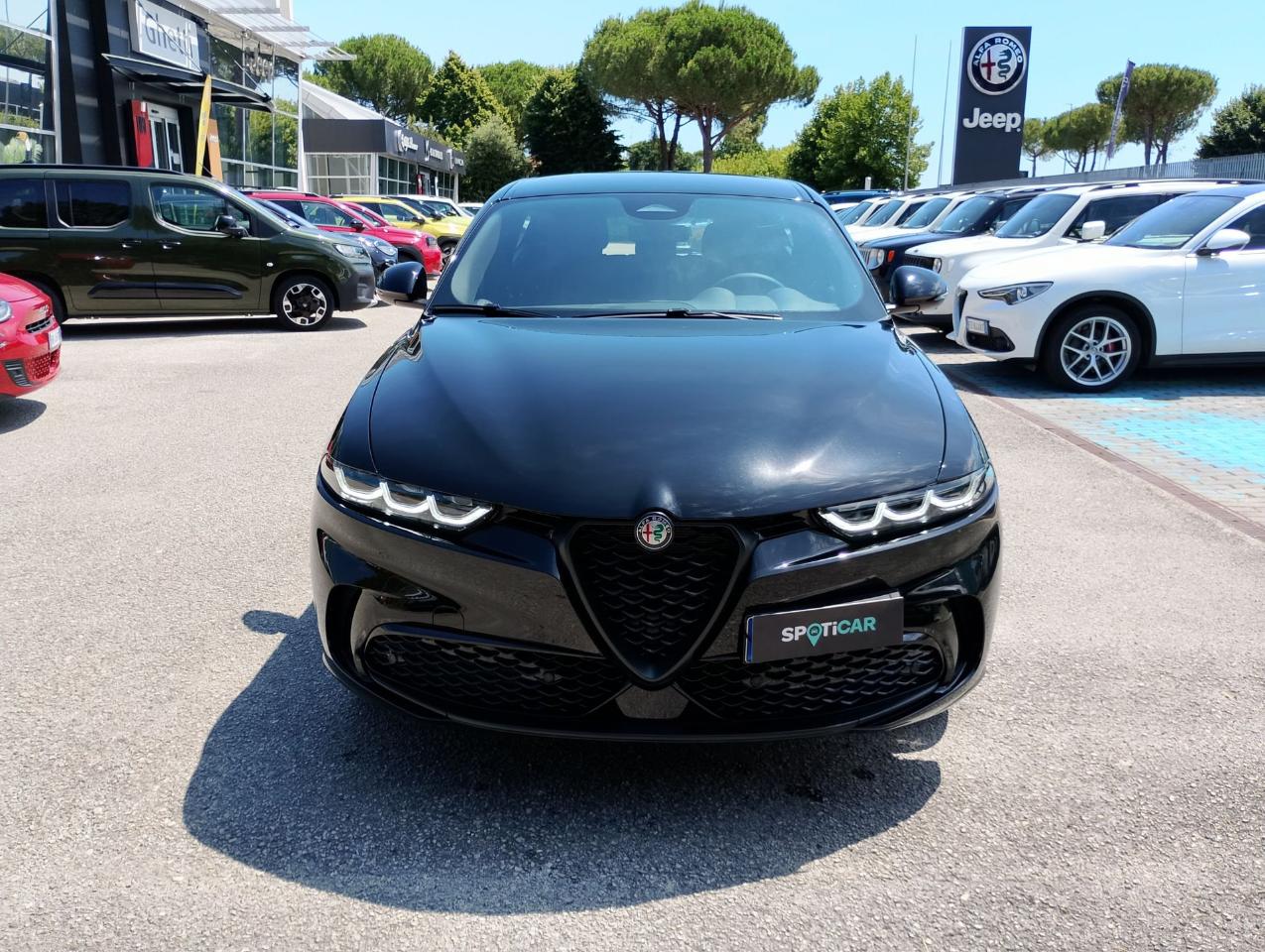 Alfa Romeo Alfa Romeo Tonale usata, con GPS