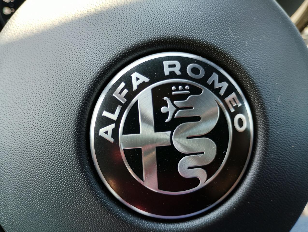 Alfa Romeo Alfa Romeo Tonale usata 6