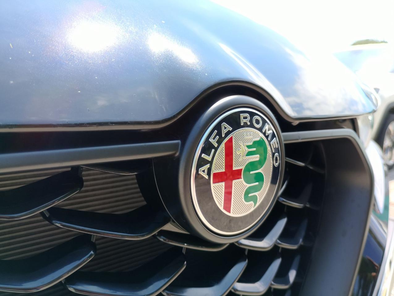 Alfa Romeo Alfa Romeo Tonale usata 19