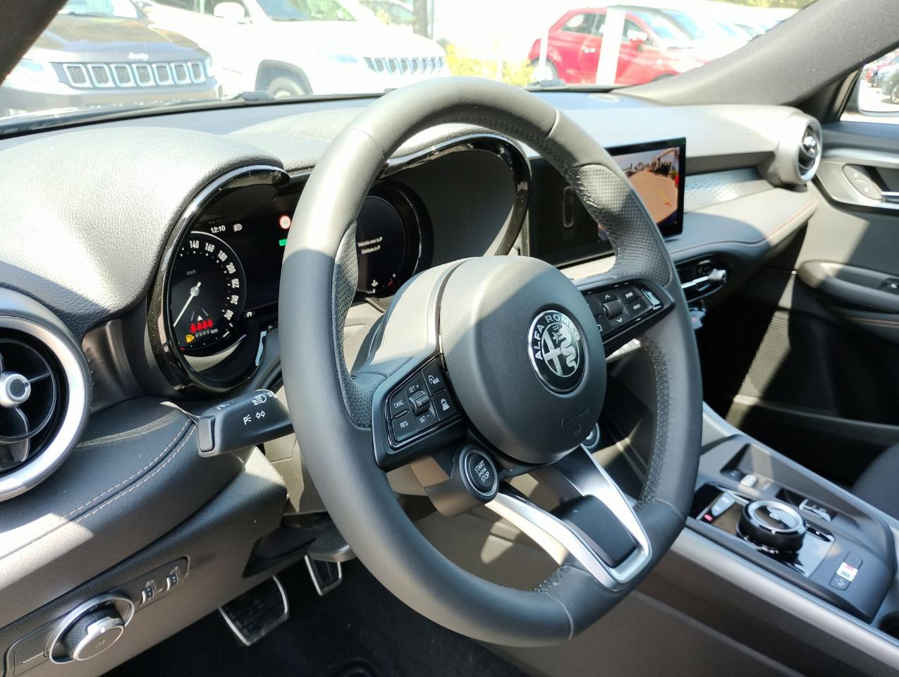 Alfa Romeo Alfa Romeo Tonale usata 26