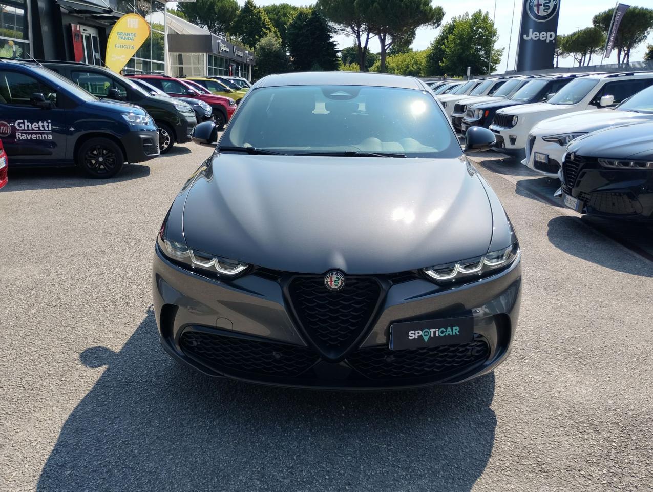 Alfa Romeo Alfa Romeo Tonale usata, con GPS