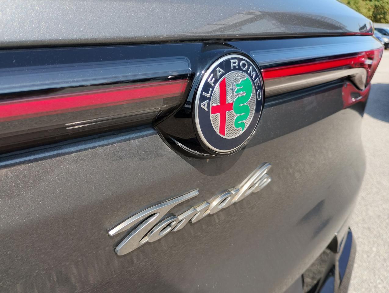 Alfa Romeo Alfa Romeo Tonale usata 13
