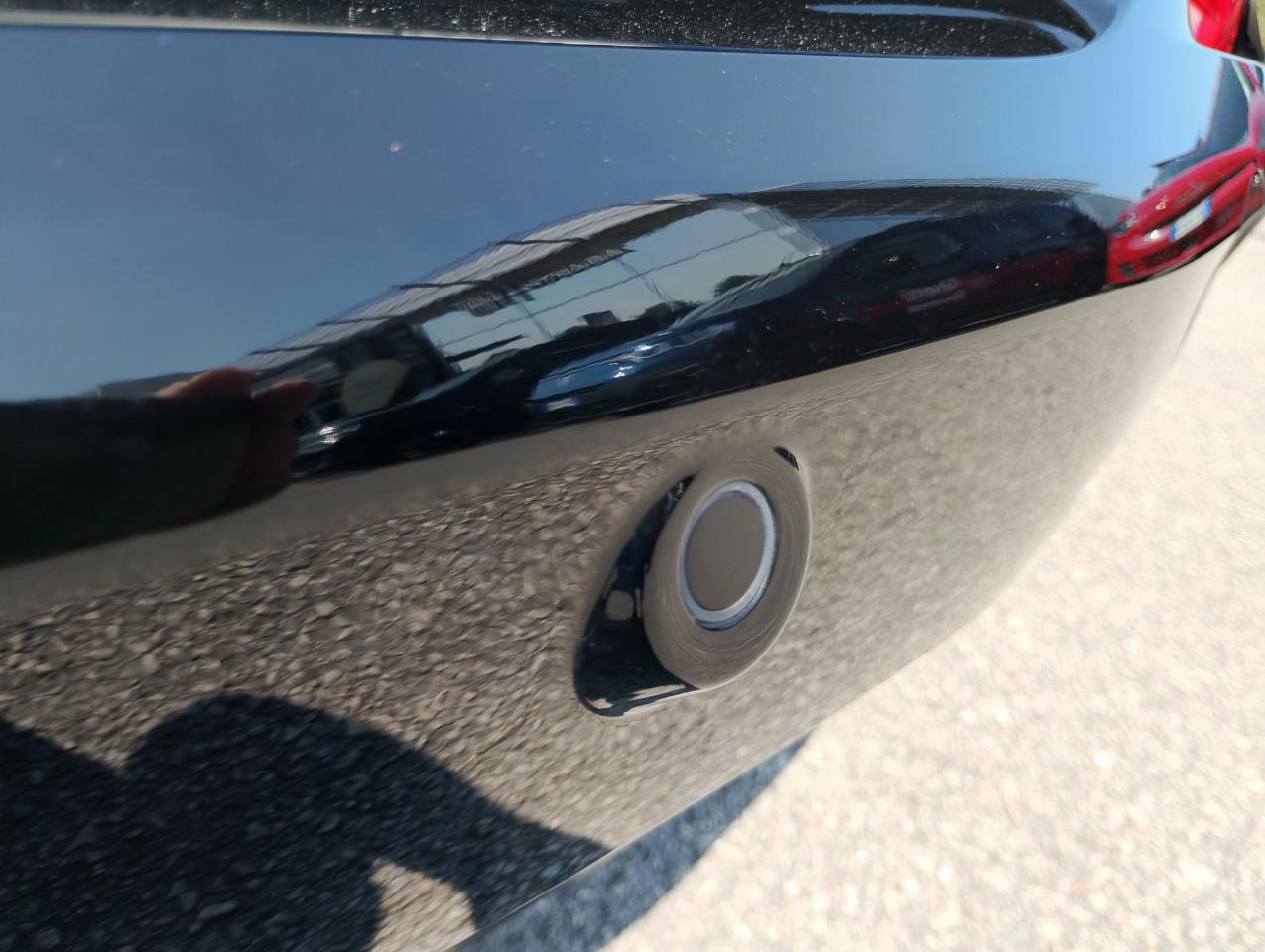 Alfa Romeo Alfa Romeo Tonale usata 15