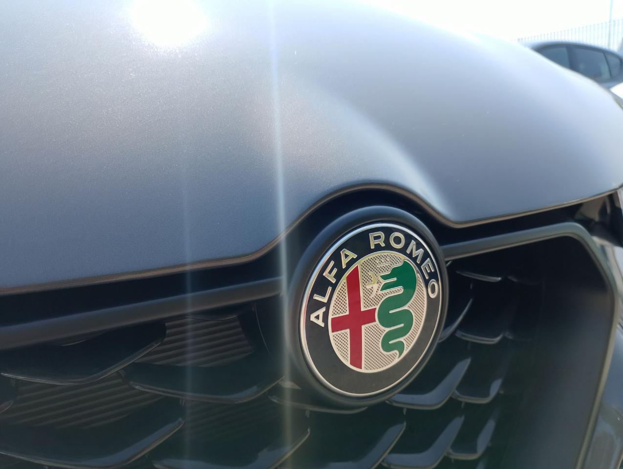 Alfa Romeo Alfa Romeo Tonale usata 18