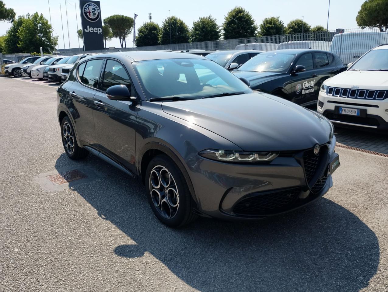 Alfa Romeo Alfa Romeo Tonale usata 19