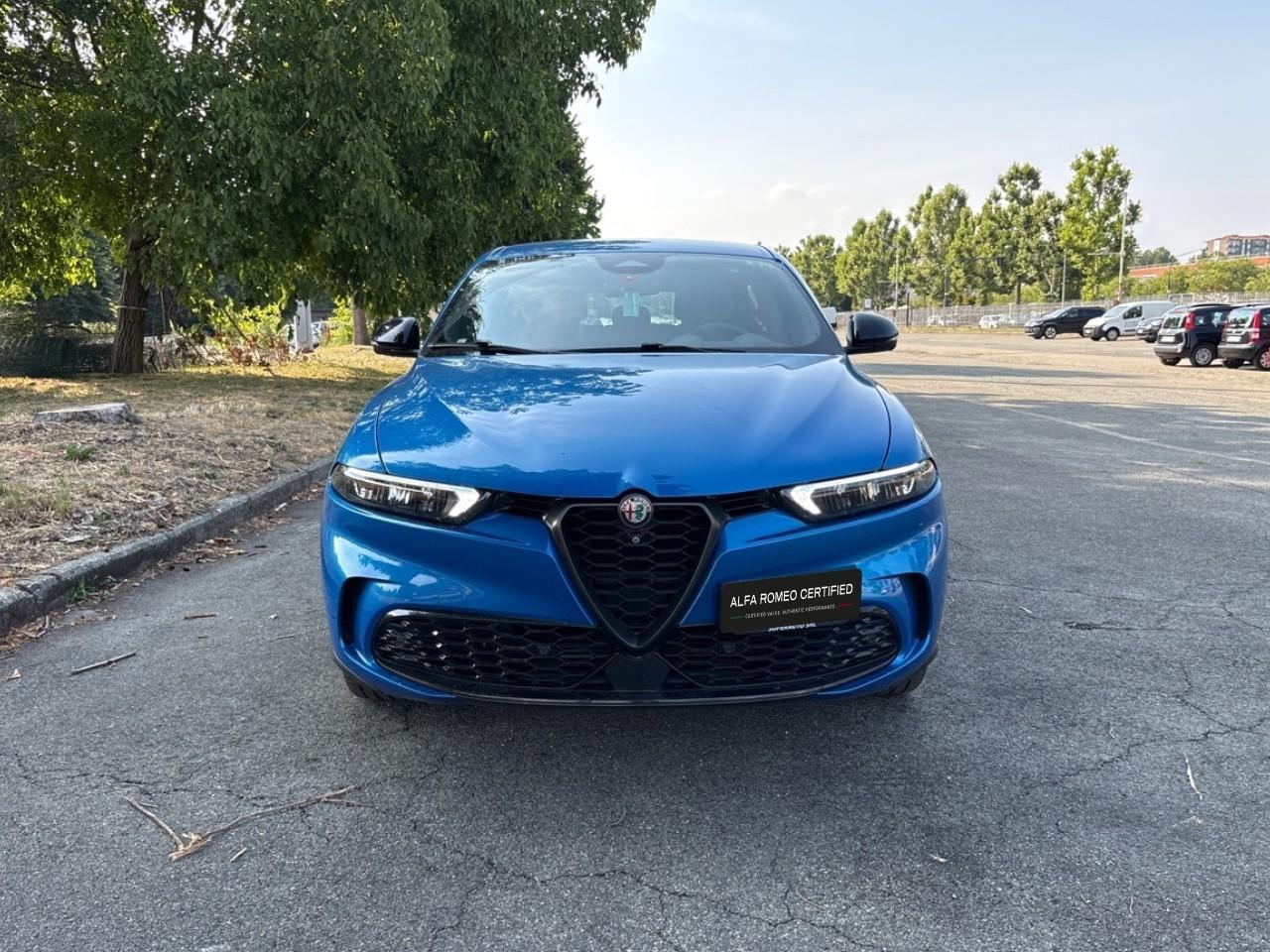 Alfa Romeo Alfa Romeo Tonale usata 11