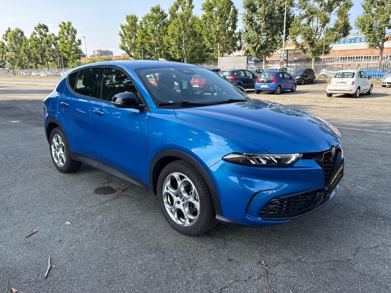 Alfa Romeo Alfa Romeo Tonale usata 14