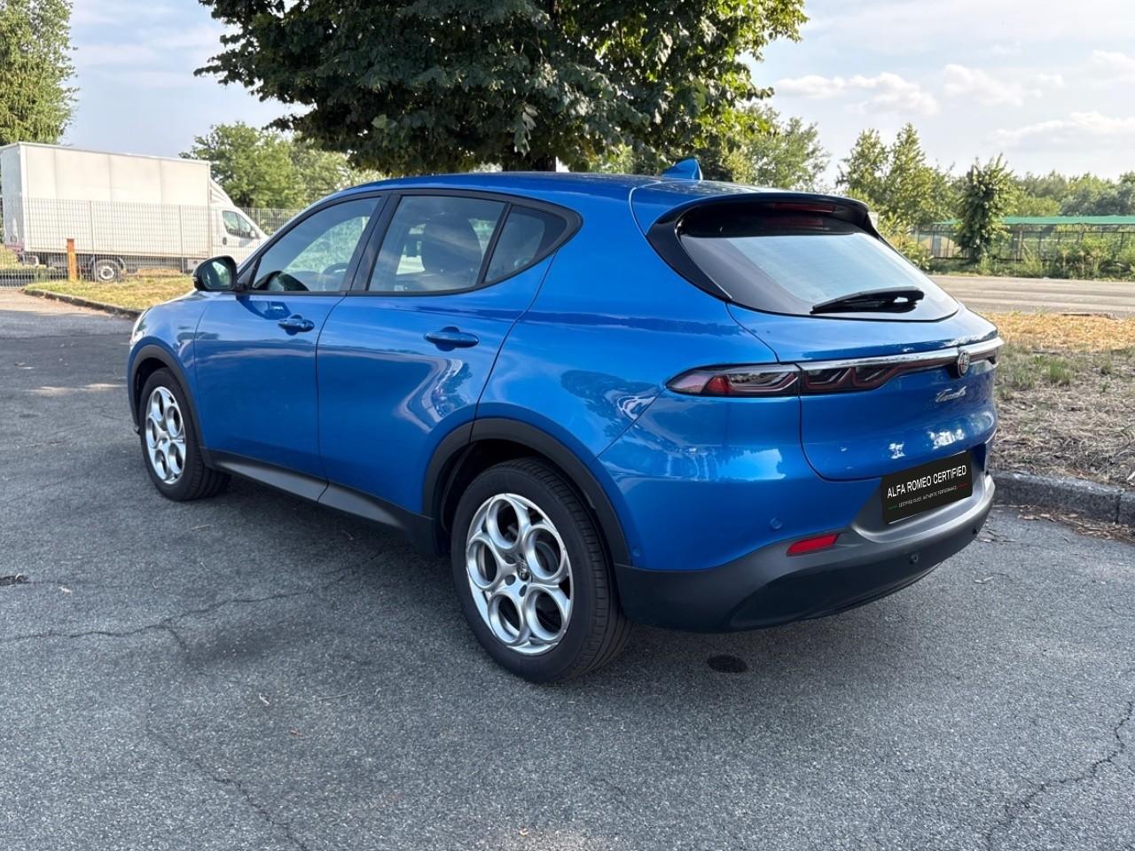 Alfa Romeo Alfa Romeo Tonale usata 18
