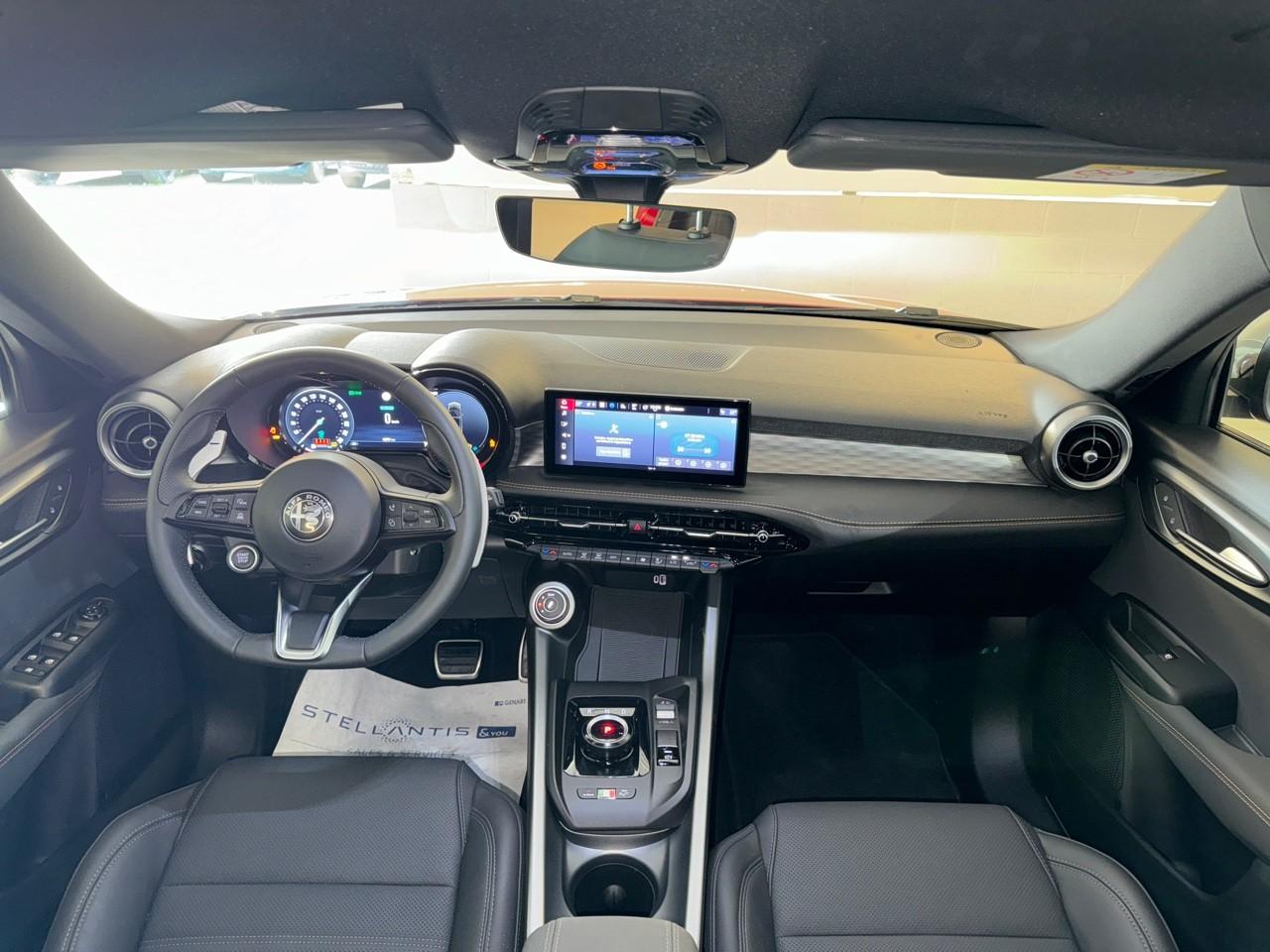Alfa Romeo Alfa Romeo Tonale usata 19