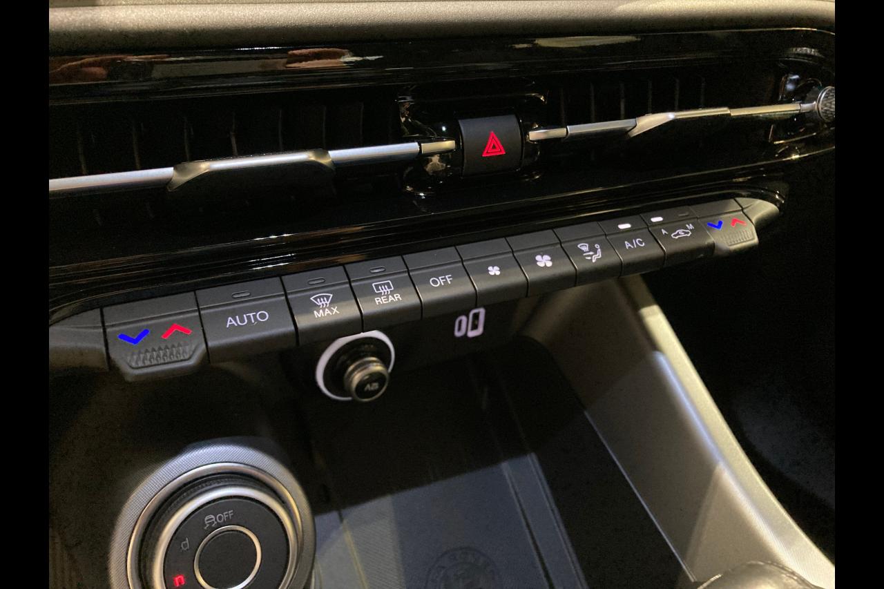 Alfa Romeo Alfa Romeo Tonale usata 5