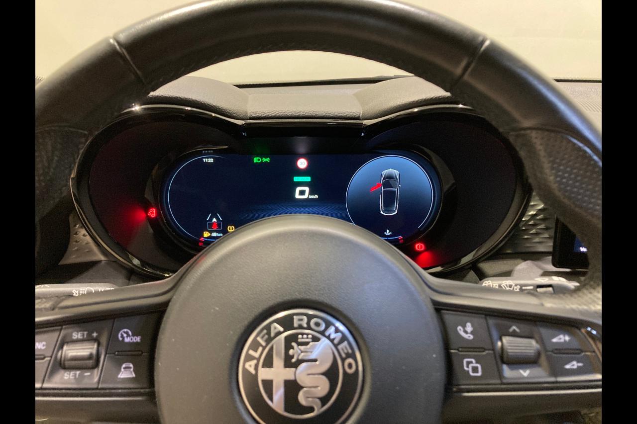 Alfa Romeo Alfa Romeo Tonale usata 15