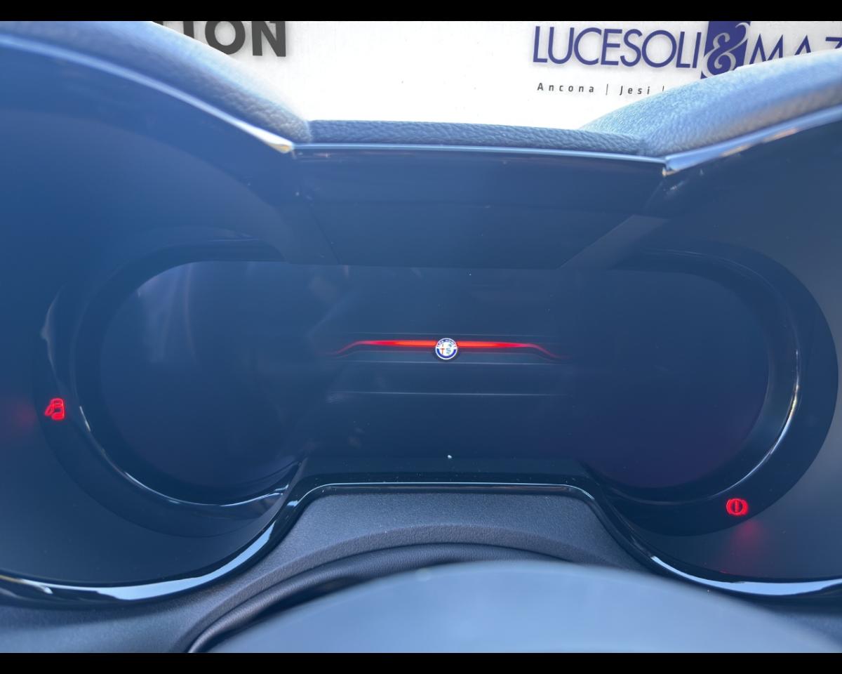 Alfa Romeo Alfa Romeo Tonale usata 14