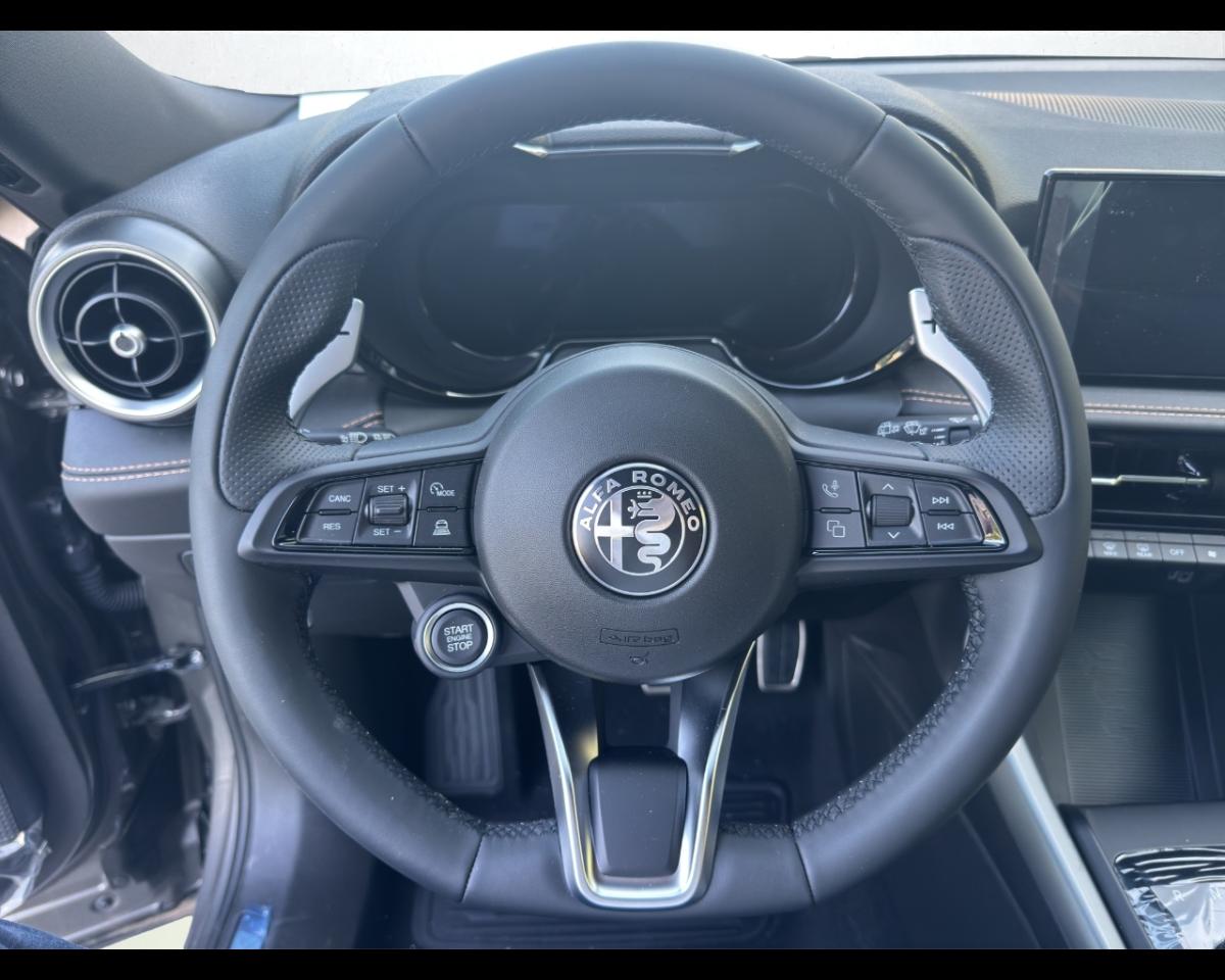 Alfa Romeo Alfa Romeo Tonale usata 18