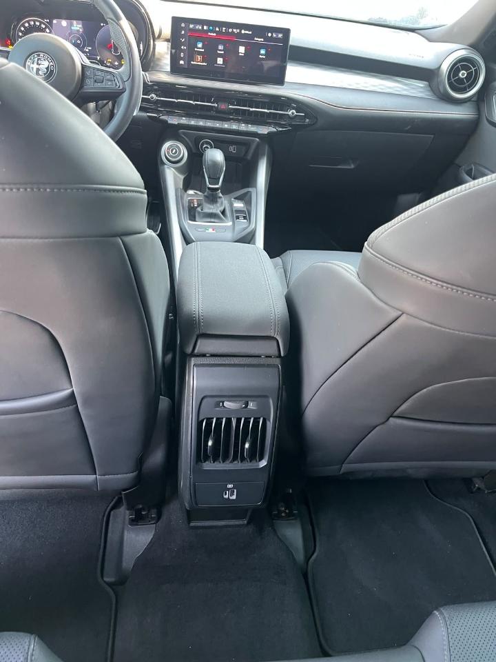 Alfa Romeo Alfa Romeo Tonale usata 14