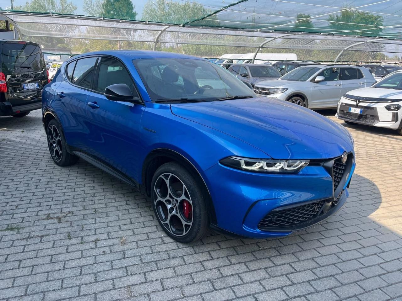 Alfa Romeo Alfa Romeo Tonale usata 15