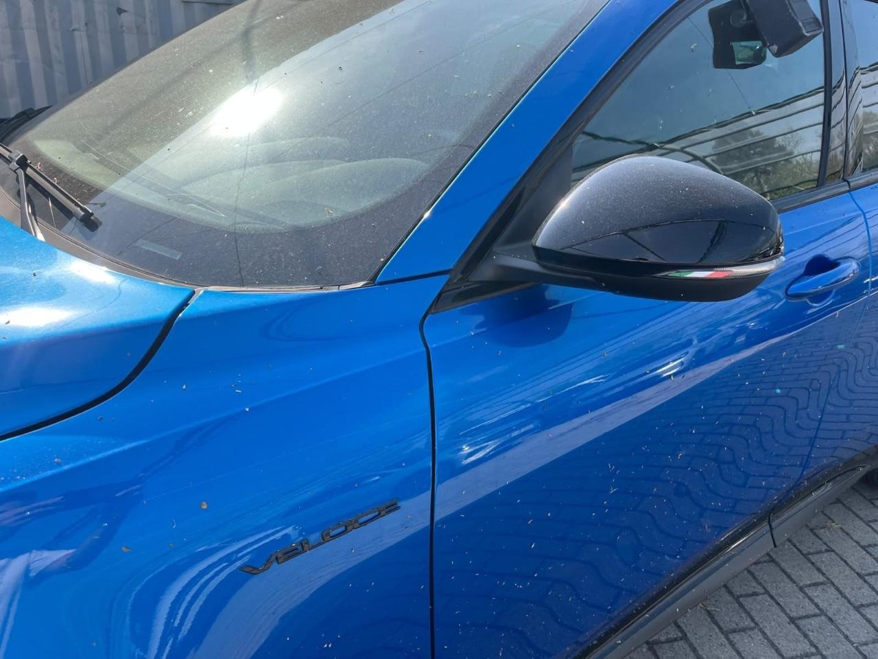 Alfa Romeo Alfa Romeo Tonale usata 16