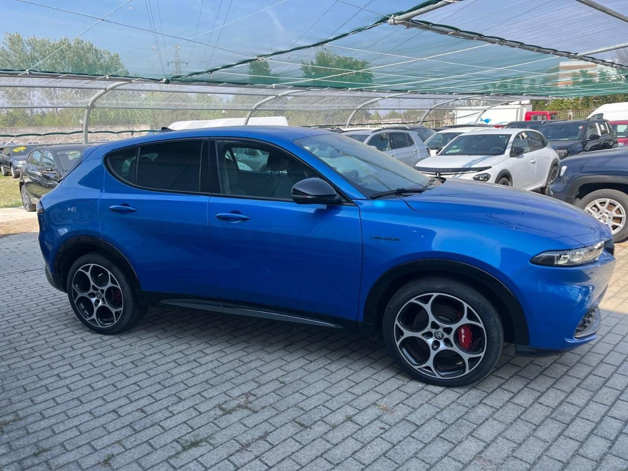 Alfa Romeo Alfa Romeo Tonale usata 18