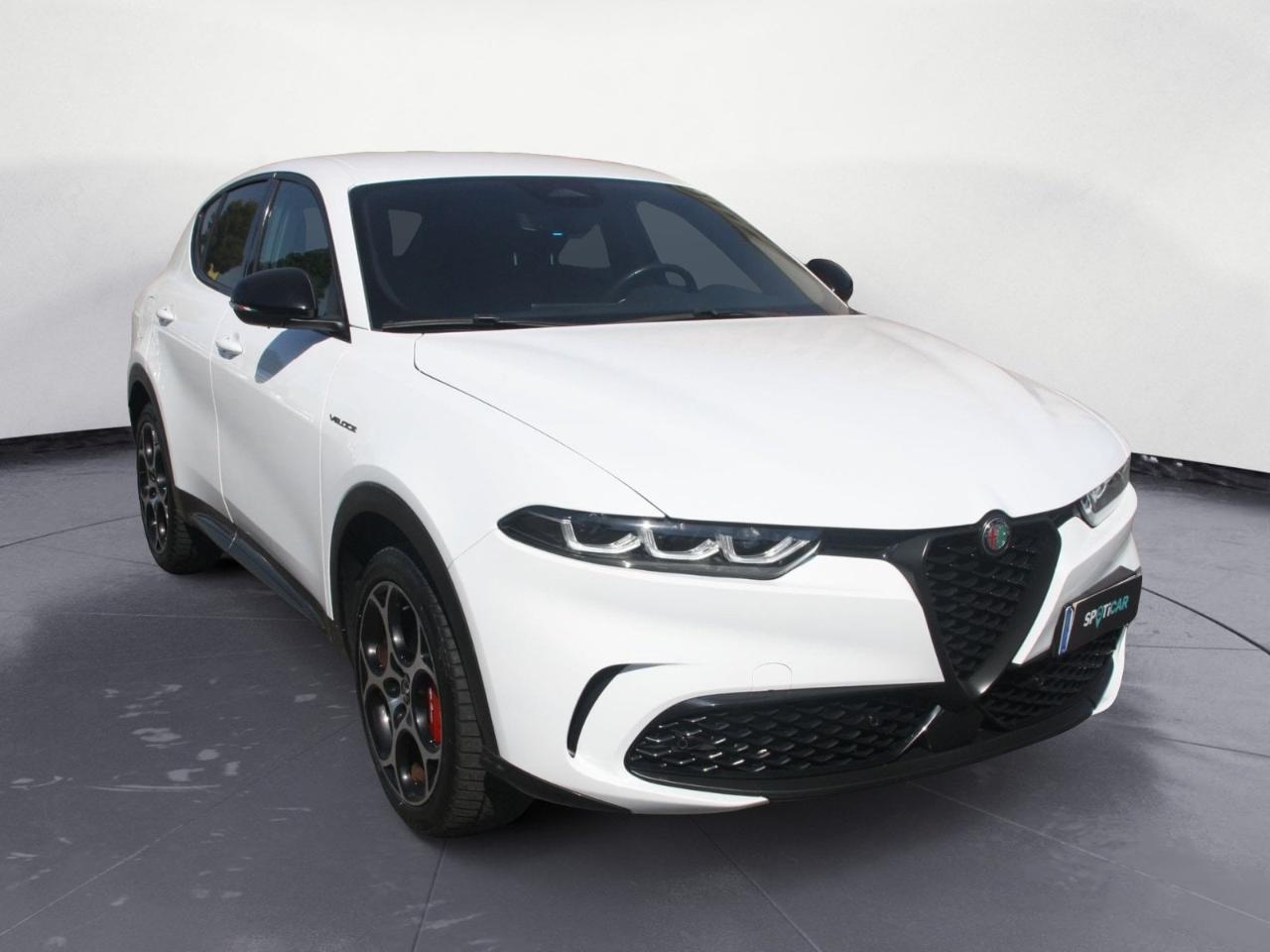 Alfa Romeo Alfa Romeo Tonale usata 11