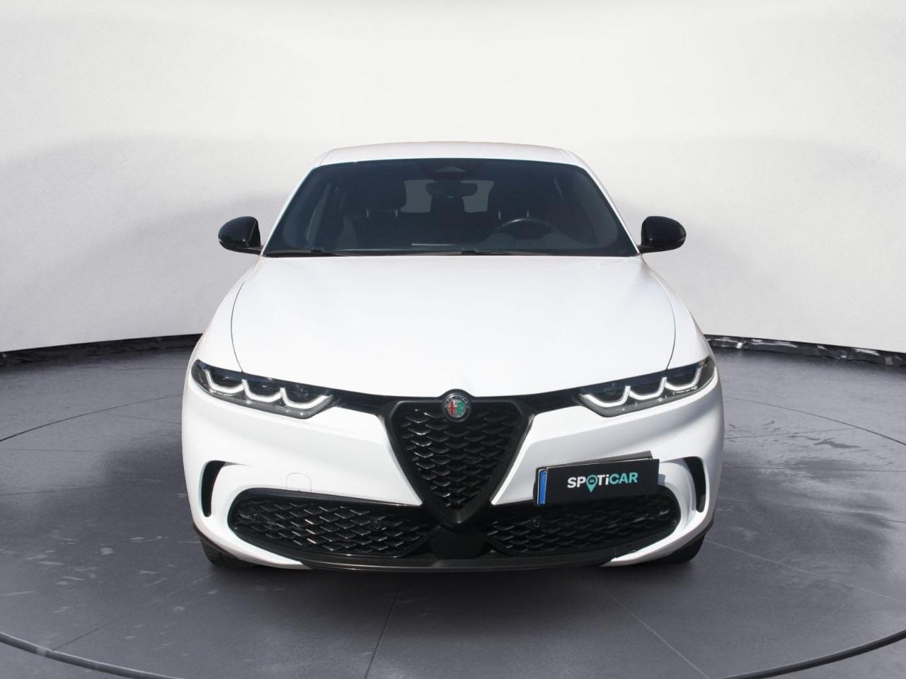 Alfa Romeo Alfa Romeo Tonale usata 20