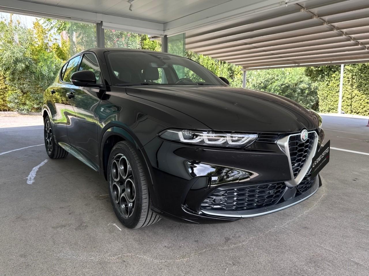 Alfa Romeo Alfa Romeo Tonale usata 14