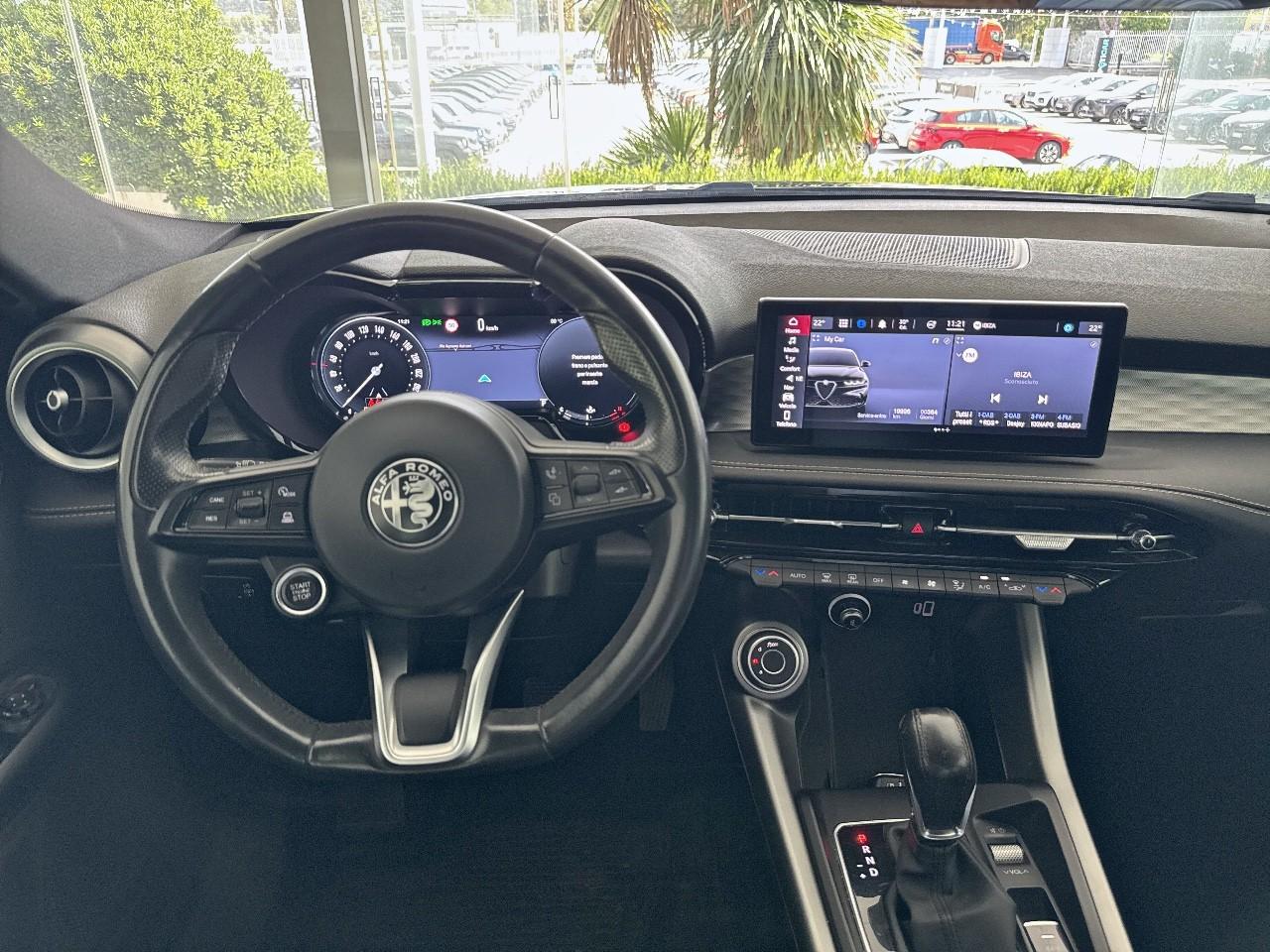 Alfa Romeo Alfa Romeo Tonale usata 19