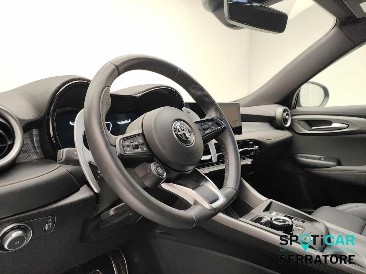 Alfa Romeo Alfa Romeo Tonale usata 20
