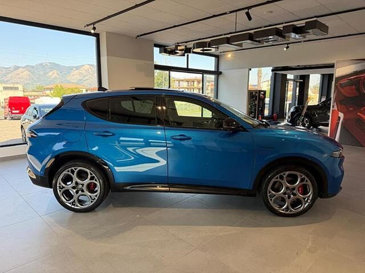 Alfa Romeo Alfa Romeo Tonale usata 13