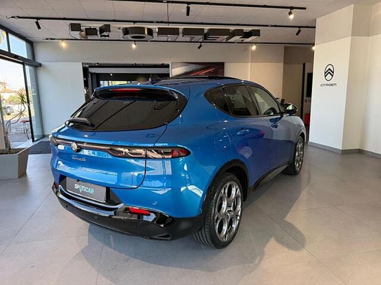 Alfa Romeo Alfa Romeo Tonale usata 14