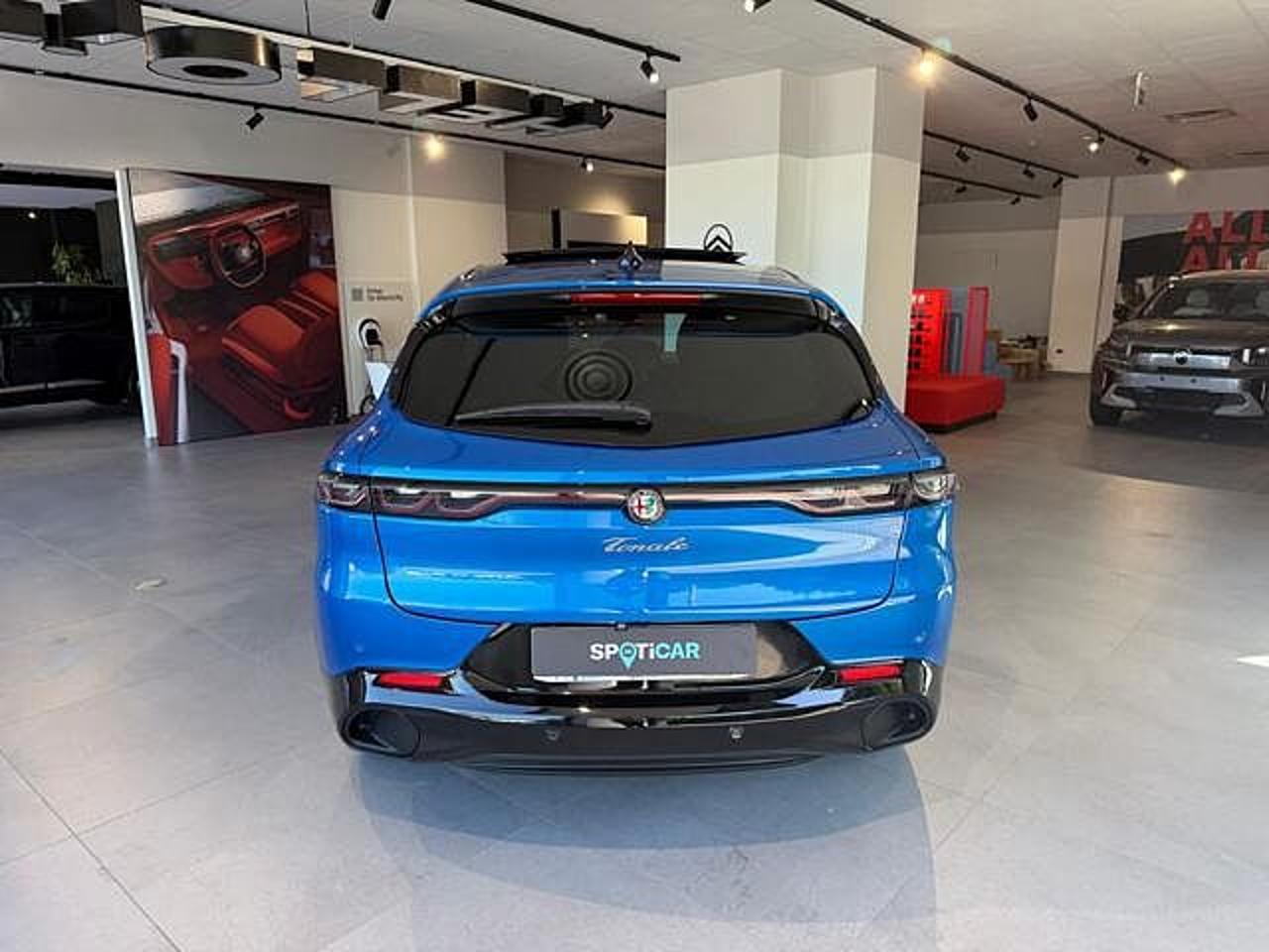 Alfa Romeo Alfa Romeo Tonale usata 15