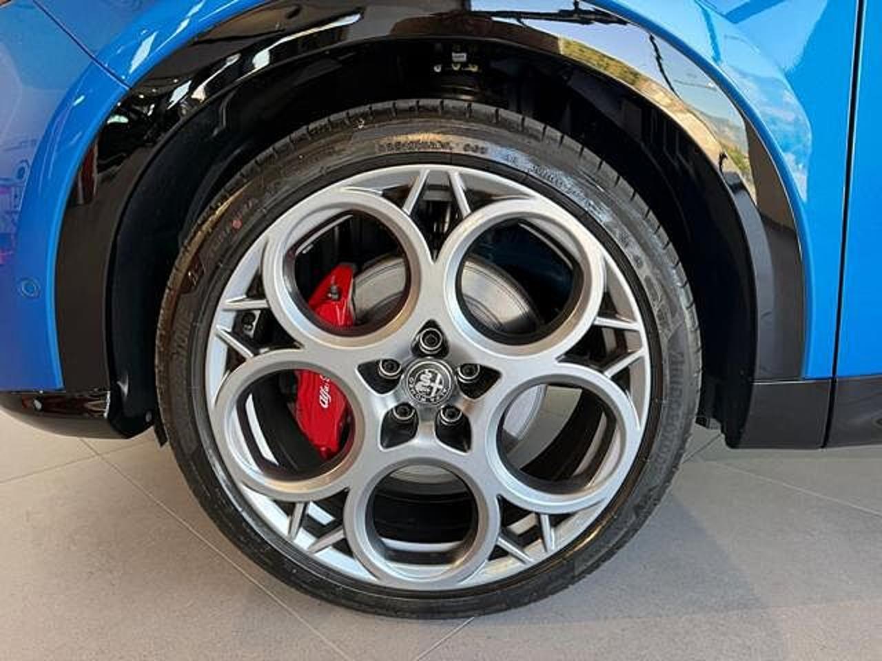 Alfa Romeo Alfa Romeo Tonale usata 19