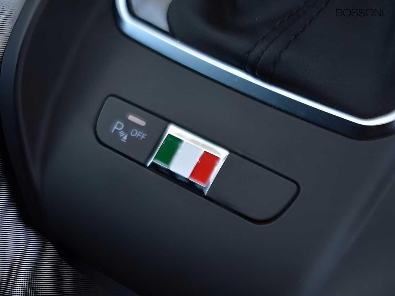 Alfa Romeo Alfa Romeo Tonale usata 9