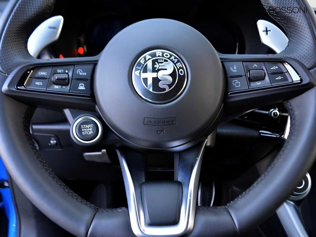 Alfa Romeo Alfa Romeo Tonale usata 7