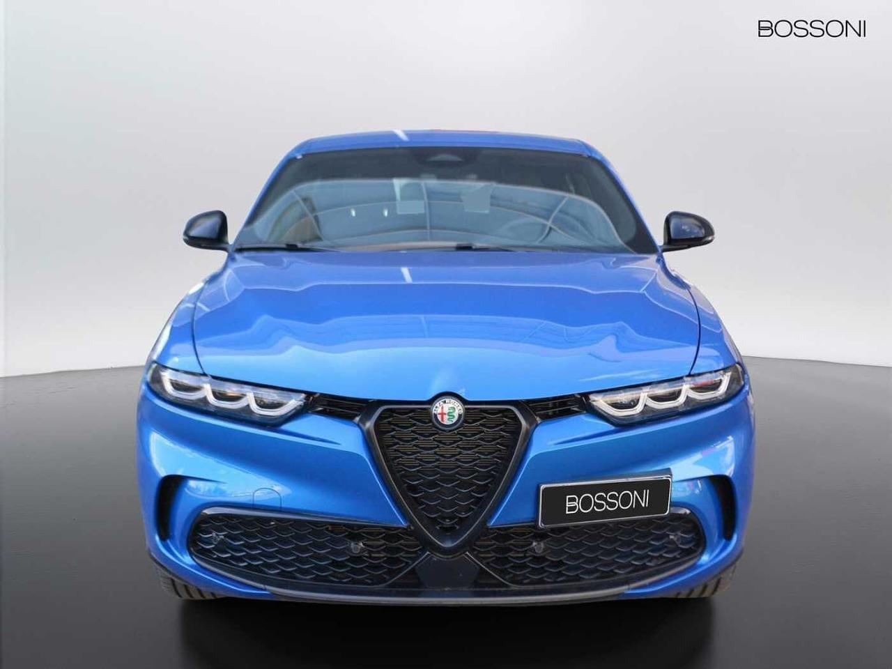 Alfa Romeo Alfa Romeo Tonale usata 11