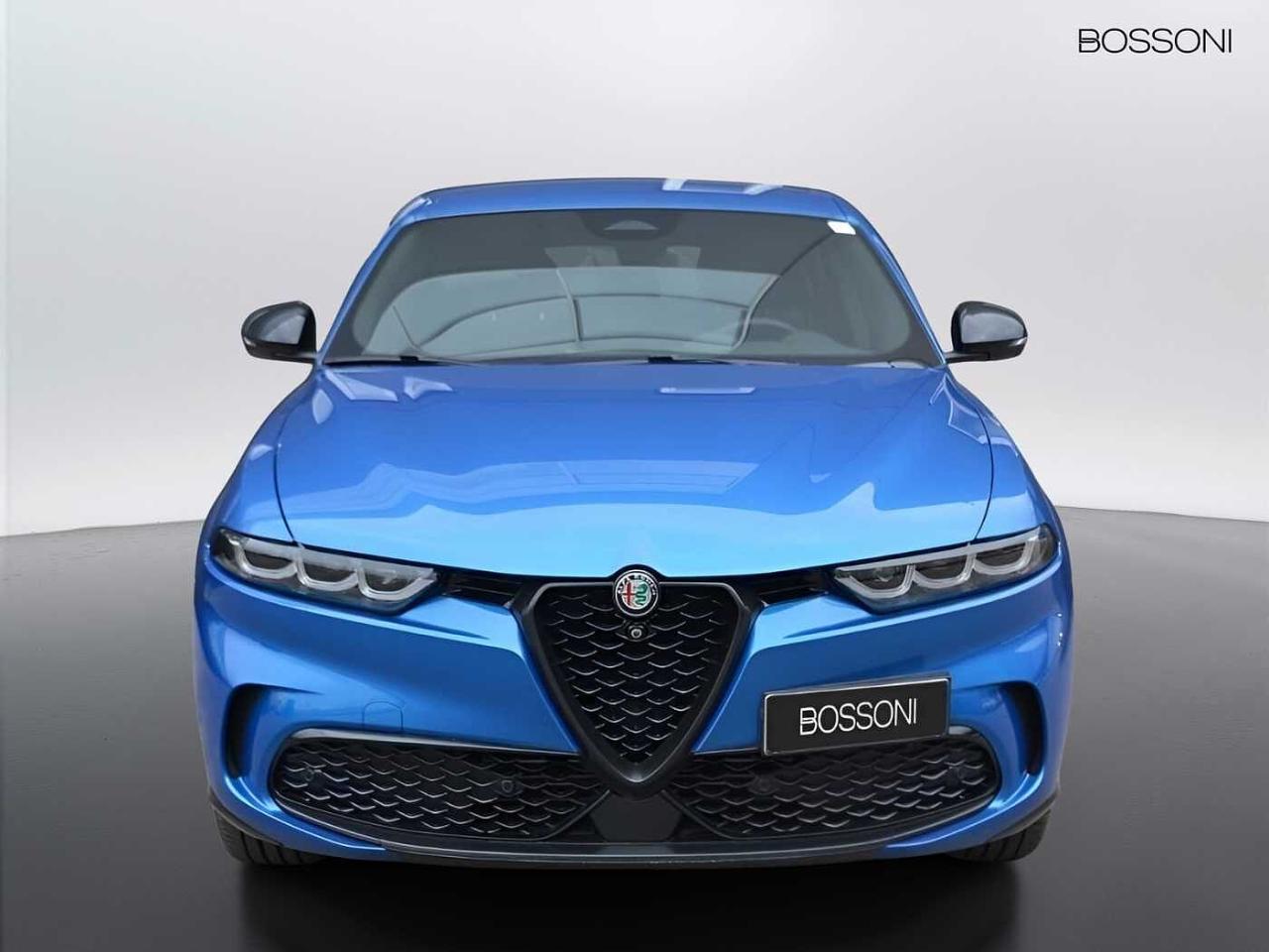 Alfa Romeo Alfa Romeo Tonale usata 11