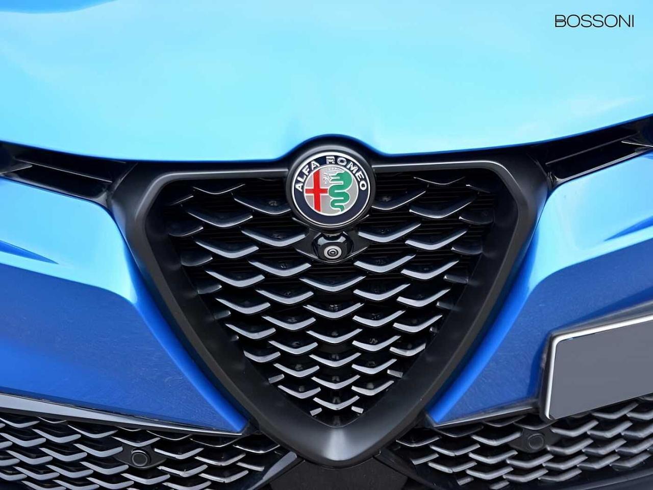 Alfa Romeo Alfa Romeo Tonale usata 13