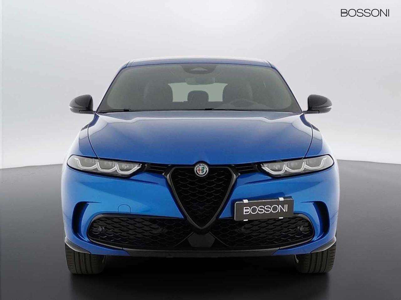 Alfa Romeo Alfa Romeo Tonale usata 11