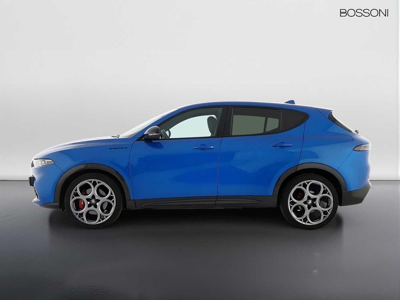 Alfa Romeo Alfa Romeo Tonale usata 22