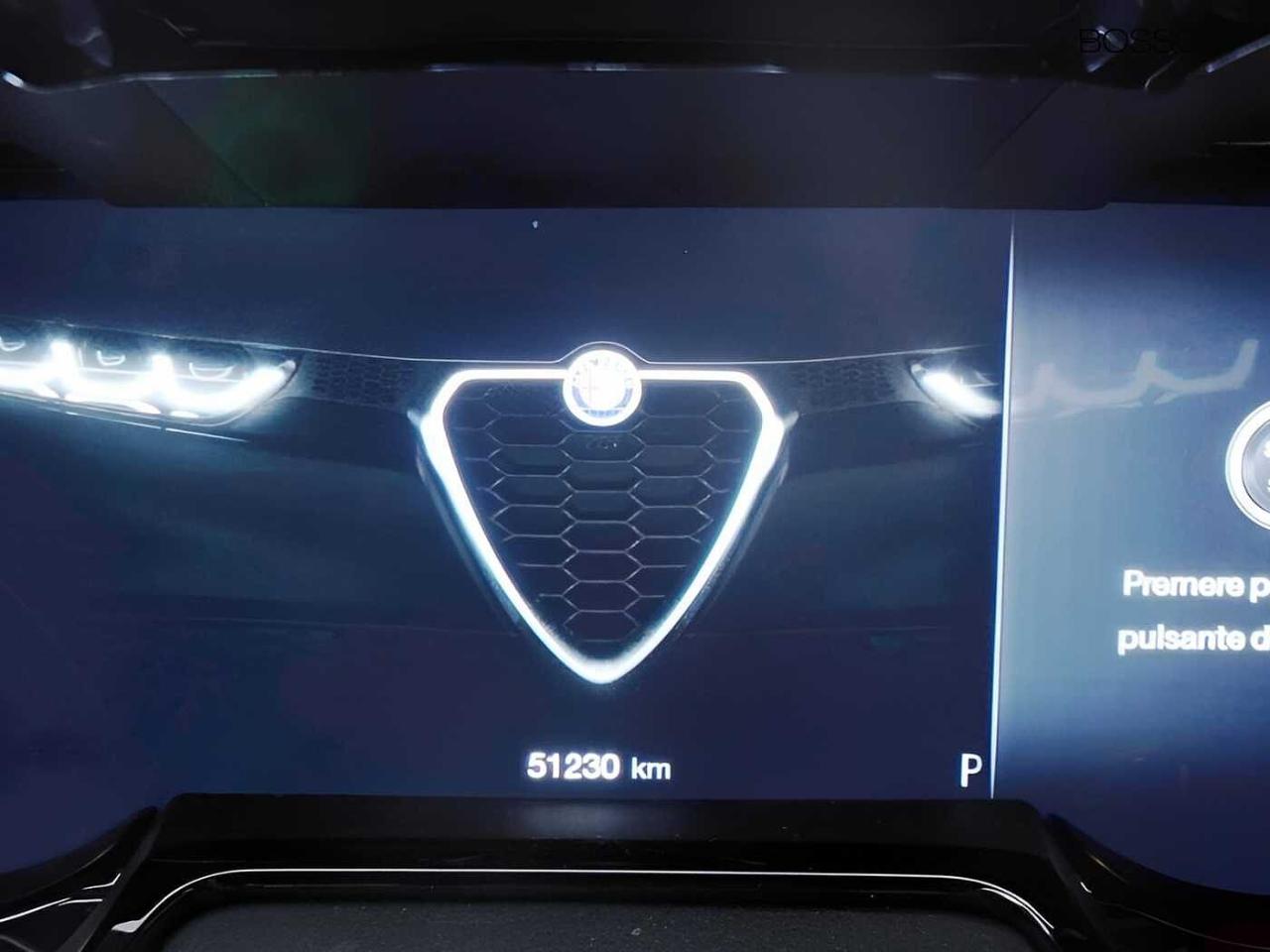 Alfa Romeo Alfa Romeo Tonale usata 23