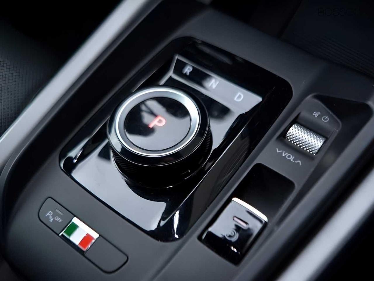 Alfa Romeo Alfa Romeo Tonale usata 8