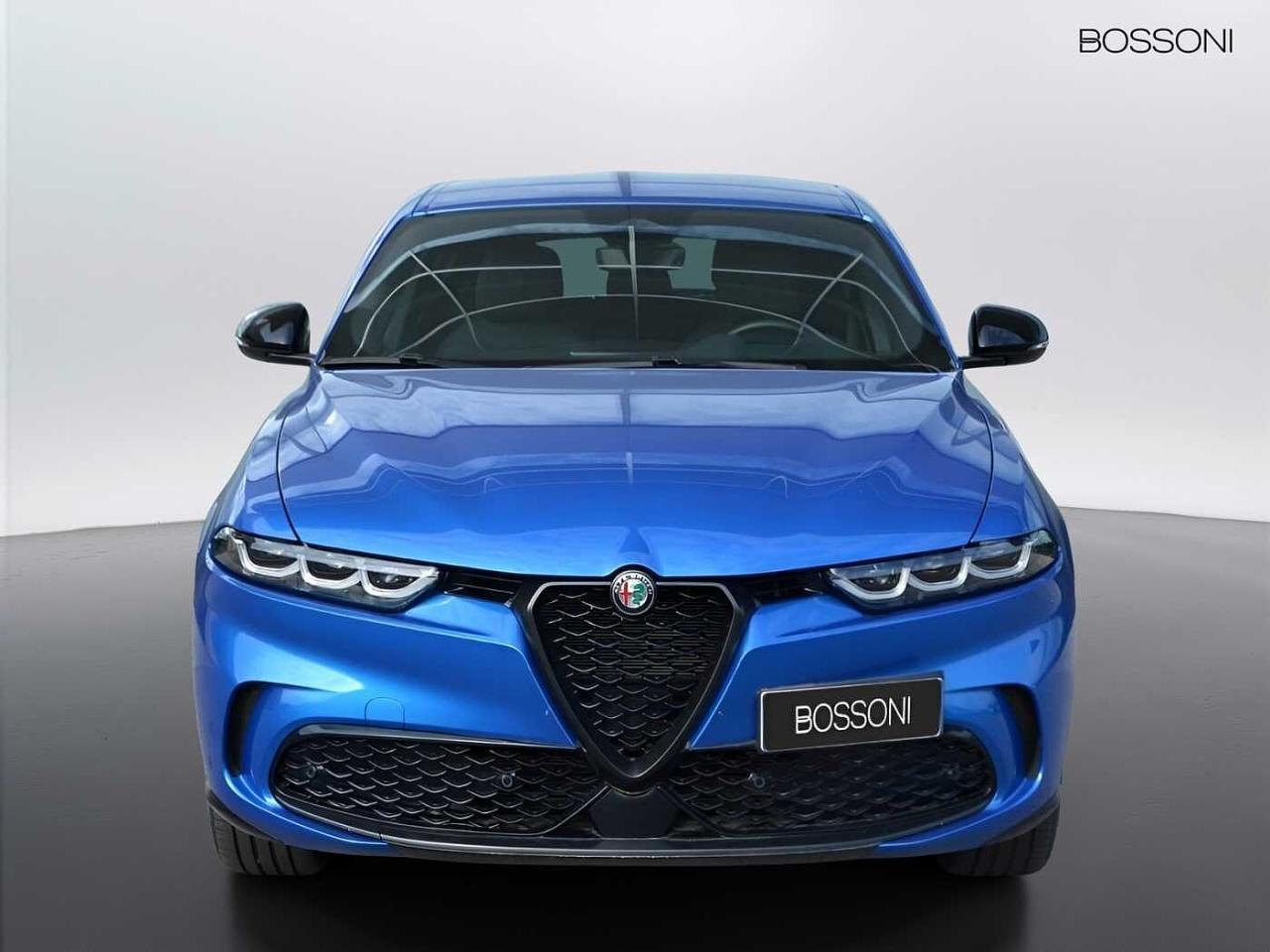 Alfa Romeo Alfa Romeo Tonale usata 11