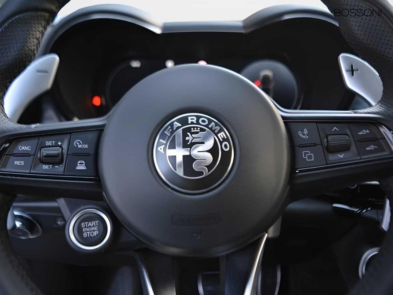 Alfa Romeo Alfa Romeo Tonale usata 7