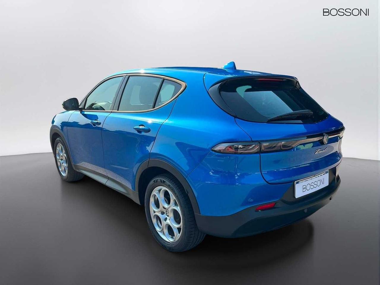 Alfa Romeo Alfa Romeo Tonale usata 7