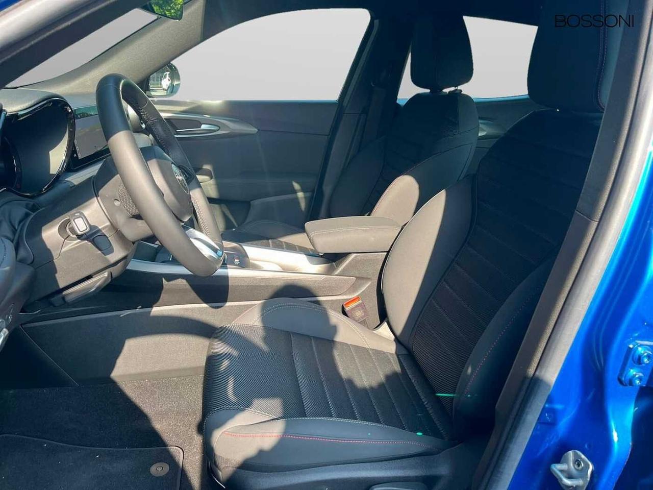 Alfa Romeo Alfa Romeo Tonale usata 14