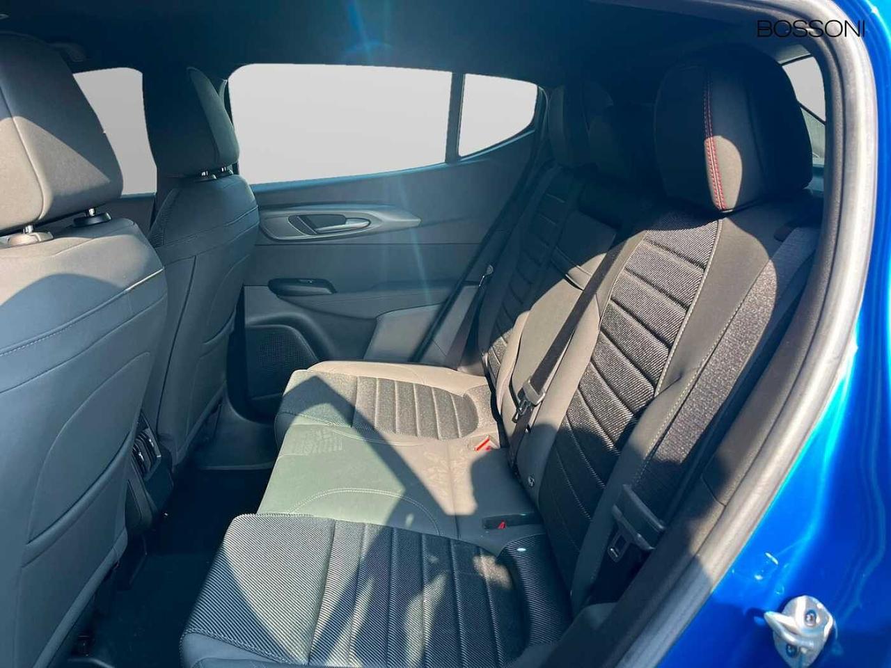 Alfa Romeo Alfa Romeo Tonale usata 15