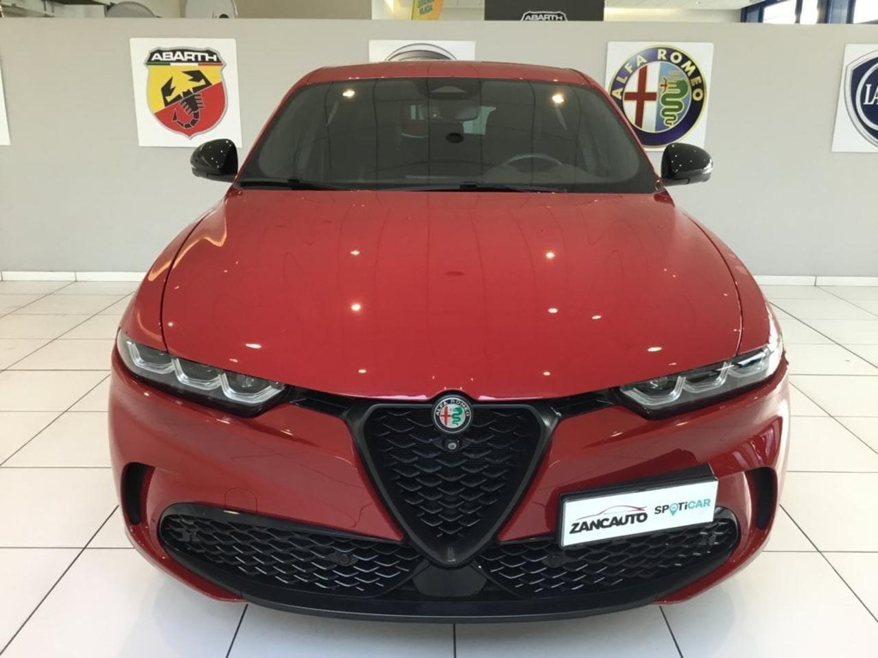 Alfa Romeo Alfa Romeo Tonale usata 11